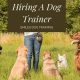Dog Trainer Hiring | My Caring Dog – Tips, Stories, and Care Guides for Loving Pet Owners