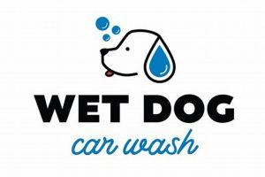 Best Wet Dog Car Wash in Cambridge MD | My Caring Dog – Tips, Stories, and Care Guides for Loving Pet Owners