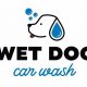 Best Wet Dog Car Wash in Cambridge MD | My Caring Dog – Tips, Stories, and Care Guides for Loving Pet Owners