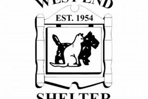 Best West End Animal Shelter: Adopt a Car Dog My Caring Dog – Tips, Stories, and Care Guides for Loving Pet Owners Best West End Animal Shelter: Adopt a Car Dog | My Caring Dog – Tips, Stories, and Care Guides for Loving Pet Owners