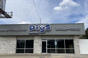 Best Dog Day Care in Wichita KS: Top Choices | My Caring Dog – Tips, Stories, and Care Guides for Loving Pet Owners