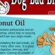 Banish Dog Breath: Home Care Tips | My Caring Dog – Tips, Stories, and Care Guides for Loving Pet Owners