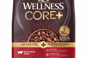 Best Wellness Care Dog Food Brands for a Healthier Pet | My Caring Dog – Tips, Stories, and Care Guides for Loving Pet Owners