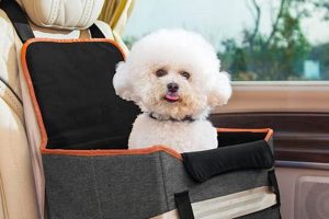 Best Small Dog Car Seats Booster for Safe Travels | My Caring Dog – Tips, Stories, and Care Guides for Loving Pet Owners