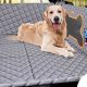 Best Car Rear Seat Dog Covers: Ultimate Guide | My Caring Dog – Tips, Stories, and Care Guides for Loving Pet Owners