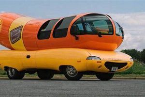 Don't Leave Hot Dogs in Cars: Dangers & Tips | My Caring Dog – Tips, Stories, and Care Guides for Loving Pet Owners