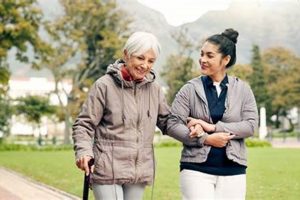 Find the Best Car Dog Companionship Jobs My Caring Dog – Tips, Stories, and Care Guides for Loving Pet Owners Find the Best Car Dog Companionship Jobs | My Caring Dog – Tips, Stories, and Care Guides for Loving Pet Owners