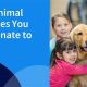 Best Pet Nonprofits Helping Dogs in Need | My Caring Dog – Tips, Stories, and Care Guides for Loving Pet Owners