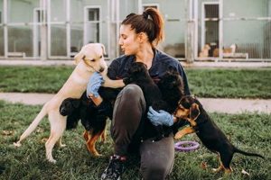 Best Dog Day Care in Yonkers, NY: Top Picks | My Caring Dog – Tips, Stories, and Care Guides for Loving Pet Owners
