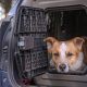 Best Car Crates for Small Dogs: Safe Travel | My Caring Dog – Tips, Stories, and Care Guides for Loving Pet Owners