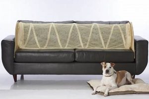 Should You Keep the Dog? A Car Dog Guide My Caring Dog – Tips, Stories, and Care Guides for Loving Pet Owners Should You Keep the Dog? A Car Dog Guide | My Caring Dog – Tips, Stories, and Care Guides for Loving Pet Owners