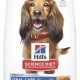 Best Hill's Science Diet for Dog Oral Care | My Caring Dog – Tips, Stories, and Care Guides for Loving Pet Owners