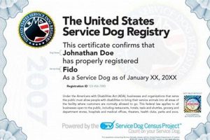 How To Certify Dog As Service Animal My Caring Dog – Tips, Stories, and Care Guides for Loving Pet Owners How To Certify Dog As Service Animal | My Caring Dog – Tips, Stories, and Care Guides for Loving Pet Owners