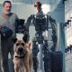 A Robot's Doggy Duty: A Heartwarming Tale | My Caring Dog – Tips, Stories, and Care Guides for Loving Pet Owners