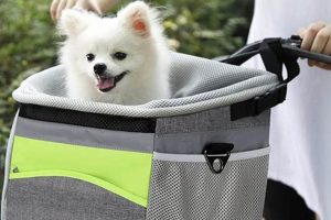 Best Dog Car Basket Seats: Safe & Comfy My Caring Dog – Tips, Stories, and Care Guides for Loving Pet Owners Best Dog Car Basket Seats: Safe & Comfy | My Caring Dog – Tips, Stories, and Care Guides for Loving Pet Owners