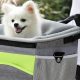 Best Dog Car Basket Seats: Safe & Comfy | My Caring Dog – Tips, Stories, and Care Guides for Loving Pet Owners