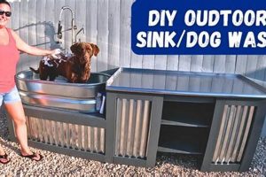 Find DIY Car & Dog Washes Near You My Caring Dog – Tips, Stories, and Care Guides for Loving Pet Owners Find DIY Car & Dog Washes Near You | My Caring Dog – Tips, Stories, and Care Guides for Loving Pet Owners