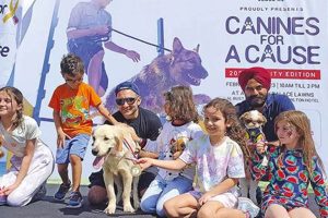 Heroic Canines for a Cause: Dog Charities My Caring Dog – Tips, Stories, and Care Guides for Loving Pet Owners Heroic Canines for a Cause: Dog Charities | My Caring Dog – Tips, Stories, and Care Guides for Loving Pet Owners