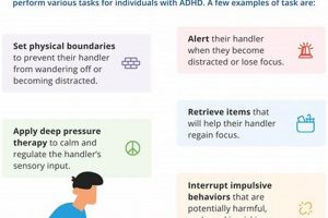 Tasks For Adhd Service Dog My Caring Dog – Tips, Stories, and Care Guides for Loving Pet Owners Tasks For Adhd Service Dog | My Caring Dog – Tips, Stories, and Care Guides for Loving Pet Owners
