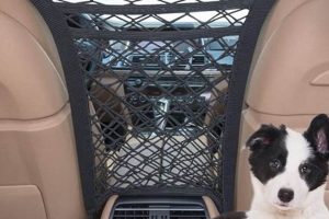 Top Dog Nets for Cars: Safe Travels My Caring Dog – Tips, Stories, and Care Guides for Loving Pet Owners Top Dog Nets for Cars: Safe Travels | My Caring Dog – Tips, Stories, and Care Guides for Loving Pet Owners