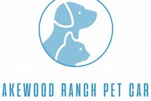 Top Dog Day Care in Lakewood Ranch FL: Best Options My Caring Dog – Tips, Stories, and Care Guides for Loving Pet Owners Top Dog Day Care in Lakewood Ranch FL: Best Options | My Caring Dog – Tips, Stories, and Care Guides for Loving Pet Owners