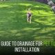 Dog-Friendly Lawn Care: Turf Tips & Tricks | My Caring Dog – Tips, Stories, and Care Guides for Loving Pet Owners