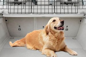 Best Dog Divider for Car Safety & Comfort | My Caring Dog – Tips, Stories, and Care Guides for Loving Pet Owners