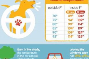 Laws For Leaving Dogs In Cars | My Caring Dog – Tips, Stories, and Care Guides for Loving Pet Owners