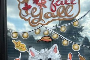 Best Dog Day Care in Lebanon, TN | Top Kennels | My Caring Dog – Tips, Stories, and Care Guides for Loving Pet Owners