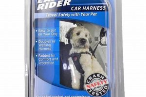 Best Easy Dog Car Harnesses for Safe Travel | My Caring Dog – Tips, Stories, and Care Guides for Loving Pet Owners