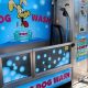 Car Wash And Dog Spa | My Caring Dog – Tips, Stories, and Care Guides for Loving Pet Owners