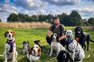 Best Dog Day Care in Waltham, MA | Top Kennels | My Caring Dog – Tips, Stories, and Care Guides for Loving Pet Owners