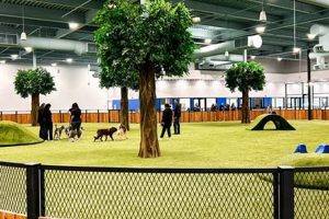 Top Dog Parks &amp; Places Near Me | My Caring Dog – Tips, Stories, and Care Guides for Loving Pet Owners
