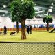 Top Dog Parks &amp; Places Near Me | My Caring Dog – Tips, Stories, and Care Guides for Loving Pet Owners