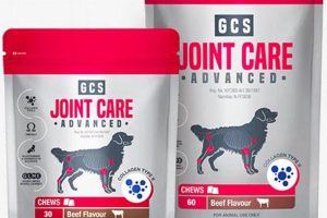 Dog Food Joint Care | My Caring Dog – Tips, Stories, and Care Guides for Loving Pet Owners