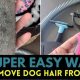 How To Keep Dog Hair Out Of Car | My Caring Dog – Tips, Stories, and Care Guides for Loving Pet Owners