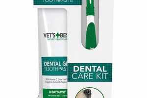 Top Tips for Best Dental Care for Dogs: Guide | My Caring Dog – Tips, Stories, and Care Guides for Loving Pet Owners