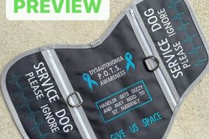 Best POTS Service Dogs For Sale | Trained & Certified My Caring Dog – Tips, Stories, and Care Guides for Loving Pet Owners Best POTS Service Dogs For Sale | Trained & Certified | My Caring Dog – Tips, Stories, and Care Guides for Loving Pet Owners