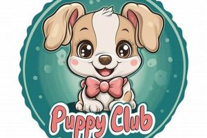 Best Puppy Clubs Near Me: Car Dog Edition My Caring Dog – Tips, Stories, and Care Guides for Loving Pet Owners Best Puppy Clubs Near Me: Car Dog Edition | My Caring Dog – Tips, Stories, and Care Guides for Loving Pet Owners