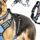 Best Large Dog Car Harnesses for Safe Travels | My Caring Dog – Tips, Stories, and Care Guides for Loving Pet Owners