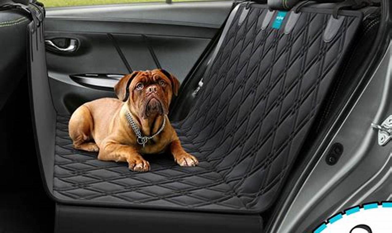 Best Dog Car Seat Covers Hammock for SUVs | My Caring Dog – Tips, Stories, and Care Guides for Loving Pet Owners