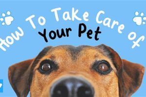 Happy Gardens, Happy Dogs: A Care Guide | My Caring Dog – Tips, Stories, and Care Guides for Loving Pet Owners