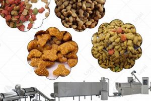 Aboutdog | My Caring Dog – Tips, Stories, and Care Guides for Loving Pet Owners