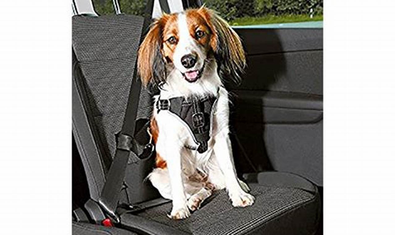Best Trixie Car Harness for Dog Safety & Comfort | My Caring Dog – Tips, Stories, and Care Guides for Loving Pet Owners
