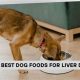 Best Dog Food For Liver Care | My Caring Dog – Tips, Stories, and Care Guides for Loving Pet Owners