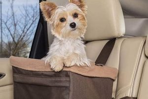 Best Dog Anxiety Car Seats: Safe & Calm Rides | My Caring Dog – Tips, Stories, and Care Guides for Loving Pet Owners