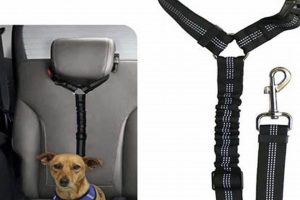 Best Dog Car Seat Belt Harnesses for Safe Travel | My Caring Dog – Tips, Stories, and Care Guides for Loving Pet Owners