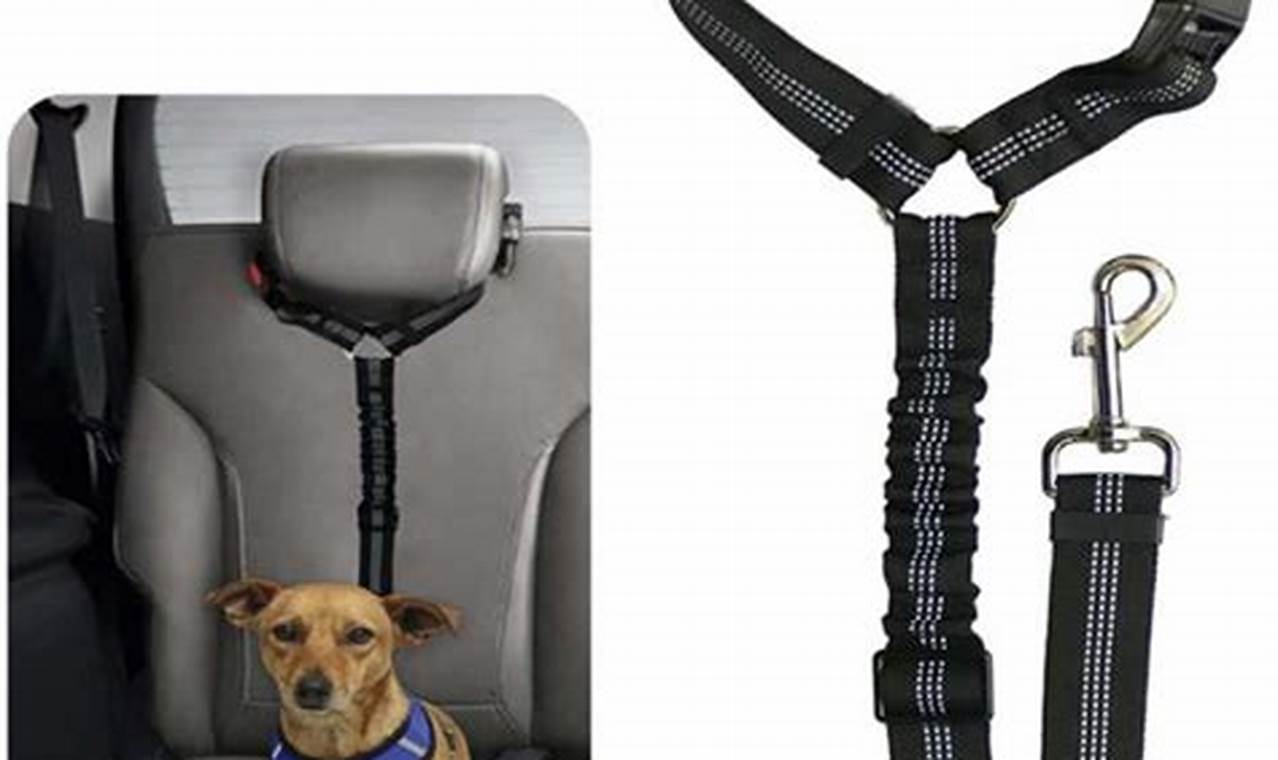 Best Dog Car Seat Belt Harnesses for Safe Travel | My Caring Dog – Tips, Stories, and Care Guides for Loving Pet Owners