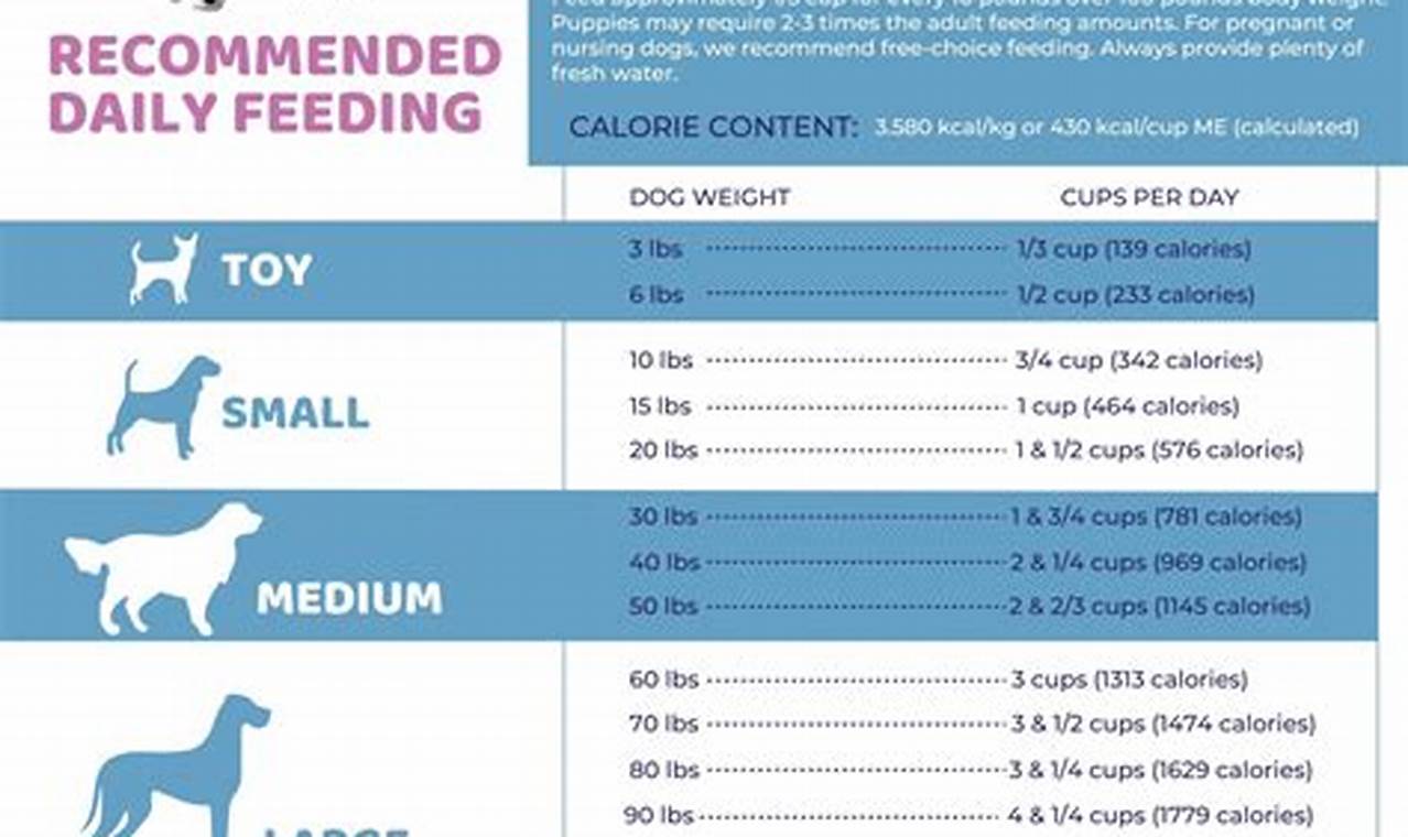 Can My Dog Have This? Car Safety Guide | My Caring Dog – Tips, Stories, and Care Guides for Loving Pet Owners