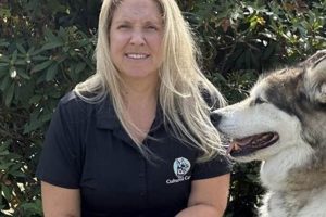 Certified Canine Trainer: Expert Dog Training | My Caring Dog – Tips, Stories, and Care Guides for Loving Pet Owners